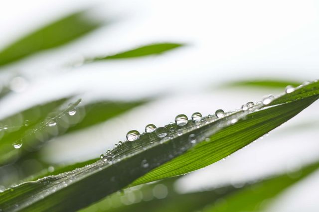 Photo in category othe: wor182_othe_021.jpg